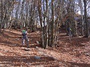 35 In bella faggeta 